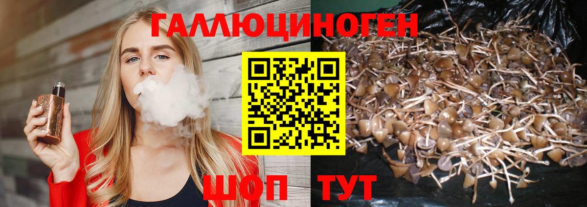 Карпинск  Псилоцибиновые грибы Psilocybine cubensis  Вход с VPN  Галлюциногенные грибы Psilocybe 