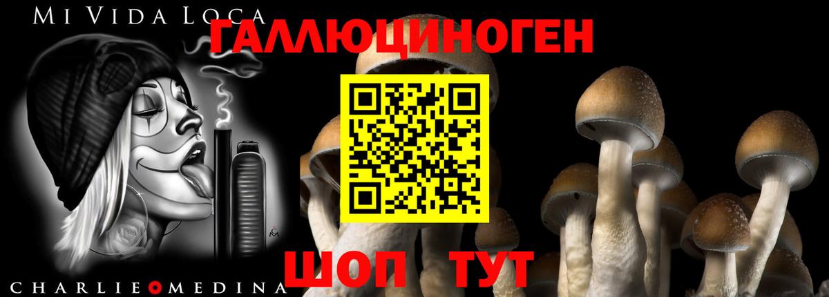 Псилоцибиновые грибы прущие грибы Карпинск